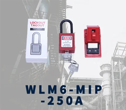 WLM6-MIP-250A Gallery image 1
